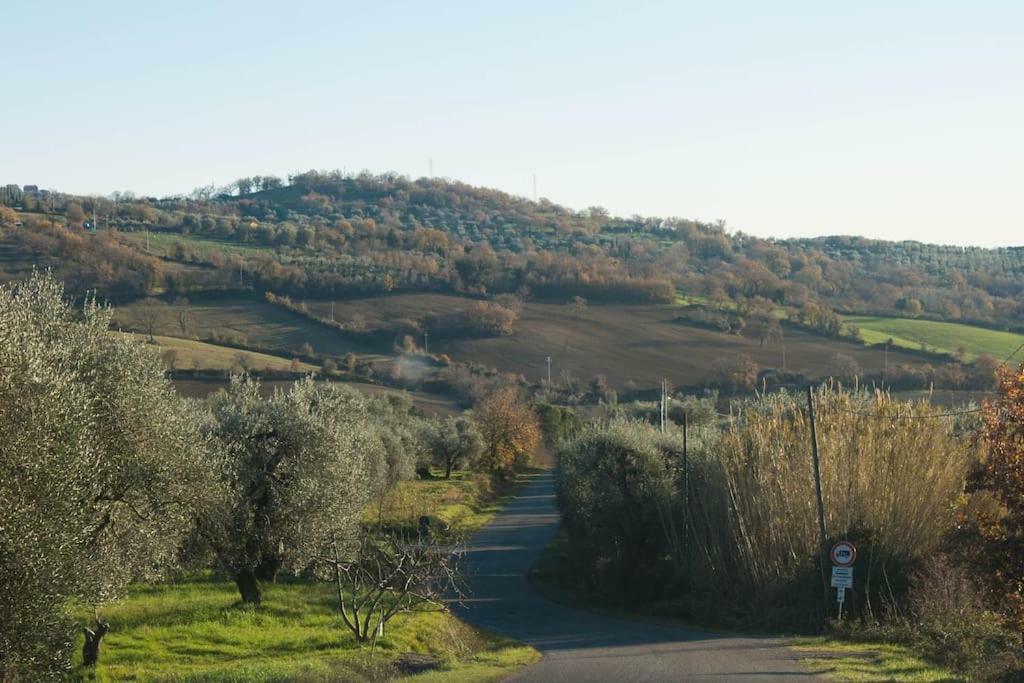 Le Casette Country House 2 Petricci Kültér fotó